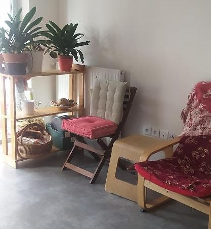 Studio Purpan Appartement Toulouse Buitenkant foto