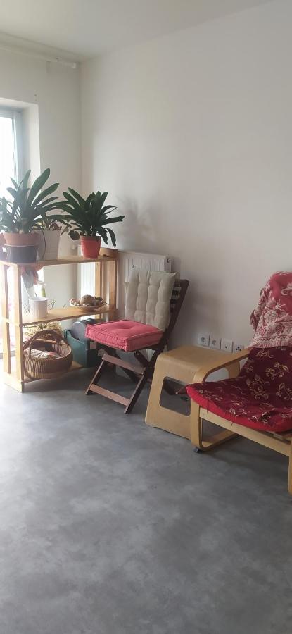 Studio Purpan Appartement Toulouse Buitenkant foto